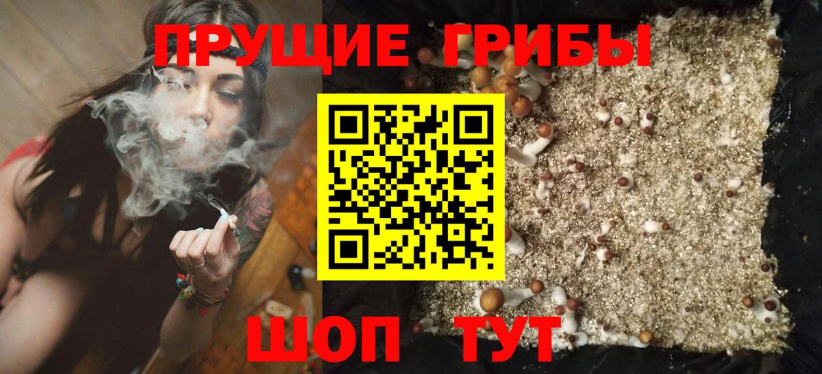Бирск  Псилоцибиновые грибы прущие грибы  Галлюциногенные грибы мицелий  Вход с VPN 