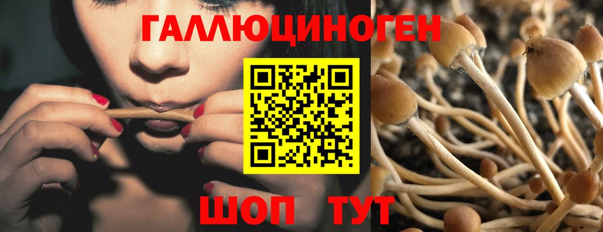 Псилоцибиновые грибы ЛСД Бирск